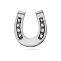 Sterling Silver 925 Horseshoe Pendant “Lucky”